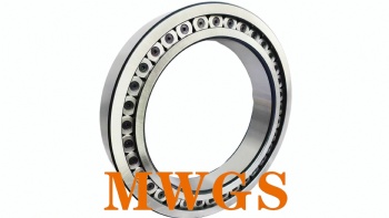 cylindrical roller bearing-SL182960