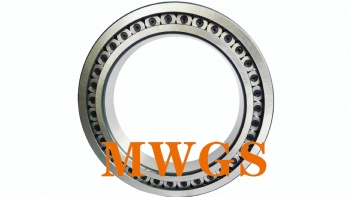 cylindrical roller bearing-SL182920